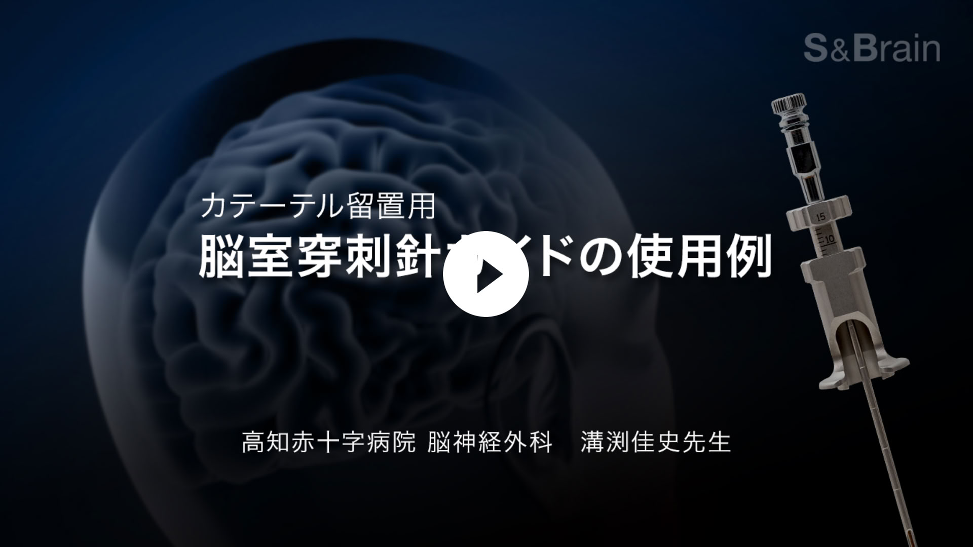 動画を再生